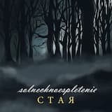 Стая