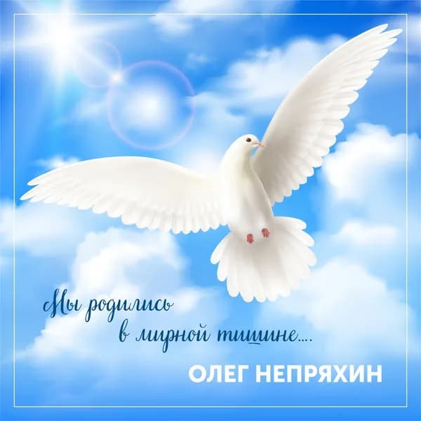 Мы родились в мирной тишине image