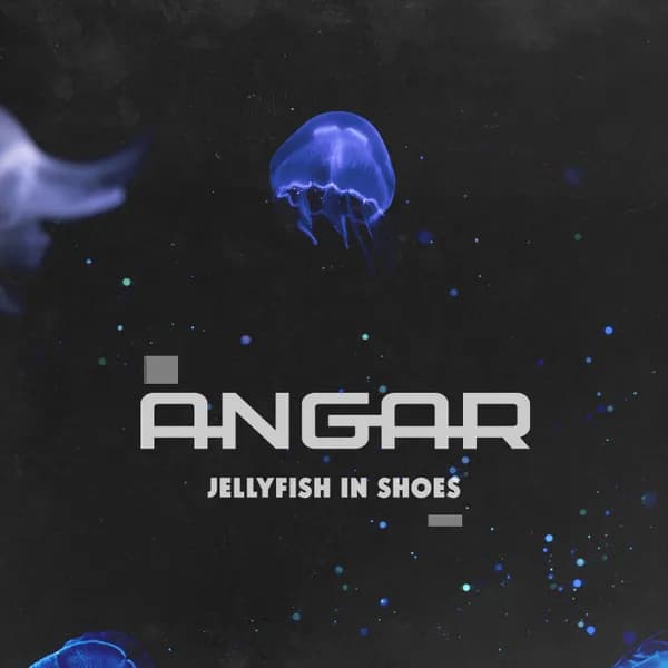 Jellyfish in Shoes image