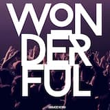 Wonderful