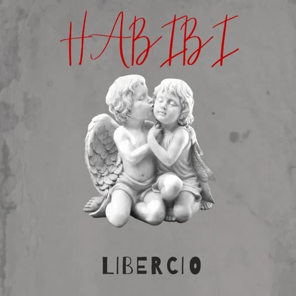 Habibi image