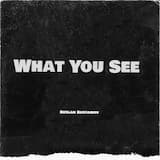What You See
