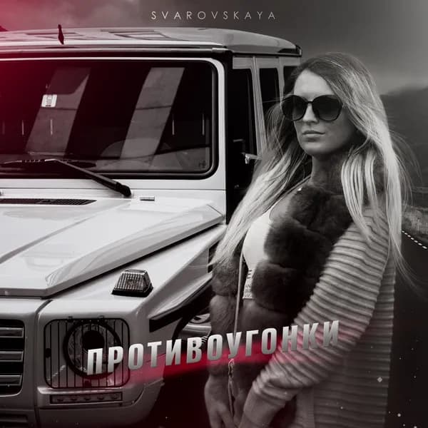 Противоугонки image
