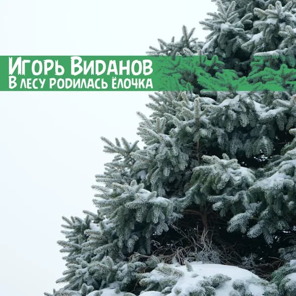 В лесу родилась ёлочка image