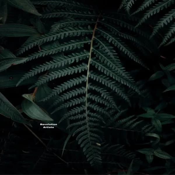 Revolution Artisto image
