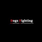 Dogs Fighting