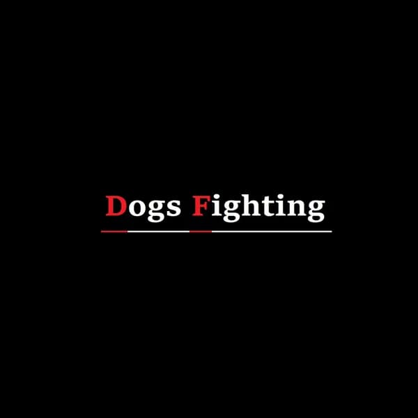 Dogs Fighting image