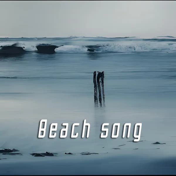 Beach Song image