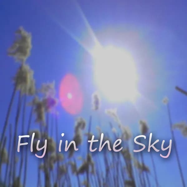 Fly in the Sky image