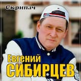Скрипач