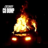 Go Dump