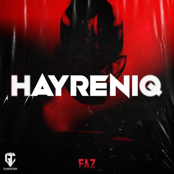 HAYRENIQ image