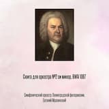 Сюита для оркестра №2 си минор, BWV 1067, Отрывок 1