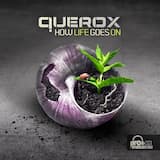 Fly Away (Querox remix)