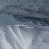 All of the Time/Not at All