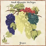 A Birth, a Death, the Dark and the Light