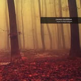 The Black and the Grey