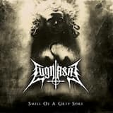 Four in the Fifth Finger