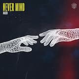 Never Mind (extended mix)