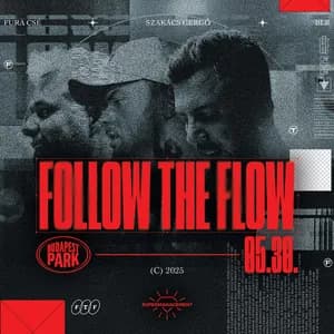 Follow the Flow avatar