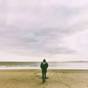 Cremation Lily avatar