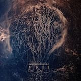 Umbre în piatră apuse