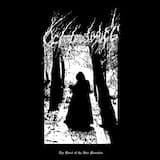 Ancient Tree Crowned With The Stars