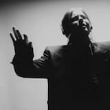 Beginner's guide to birdwatching