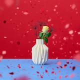 救いのない日々よ