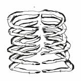 Cognitive Dissonance