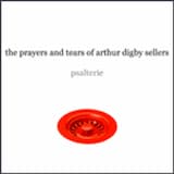 A Second Reply to St. Anselm of Canterbury in His Adolescence (ps 17:15)