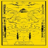 41 Degrees - White Flowers