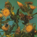 Najtrudniejszy pierwszy krok