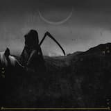 Сами не уйдут