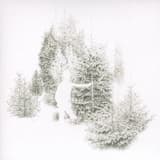 Skogsbo Is The Place