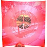 Peace Can Do No Wrong