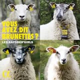 Recueil d’airs sérieux et à boire : Amis, laissons l’amour, saisissons la bouteille