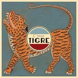 Life as a Preened Tuxedo Jacket