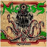 Plasticazzo di Ghiaccio