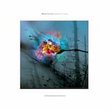 Constant Uncertainty