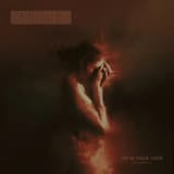 Atop the Wings of a Magpie