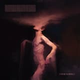 Atop the Wings of a Magpie