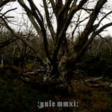 :W i n t e r m o o n: