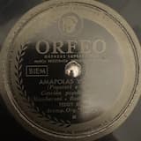 Vuela paloma (Vola colomba)