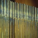 “Not Properly Developed”