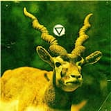 Girls Just Want To Have Fun