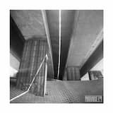 Tu Danses Comme Margouillat