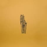 Here for What (raw cut)