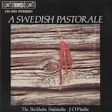 Concerto in D major for Oboe d'amore, String Orchestra and Harpsichord, IB 53: Andante lento
