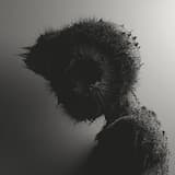 I'll Catch the Back of Her Head